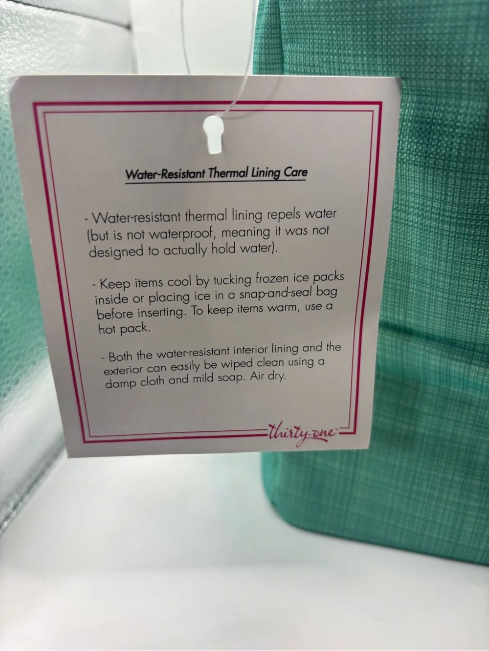 thirty-one Teal Insulated Garment Storage Bag